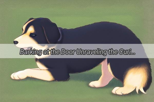 Barking at the Door Unraveling the Curious World of Mans Best Friend